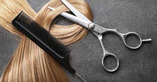 Cabeleireiro Básico Teórico